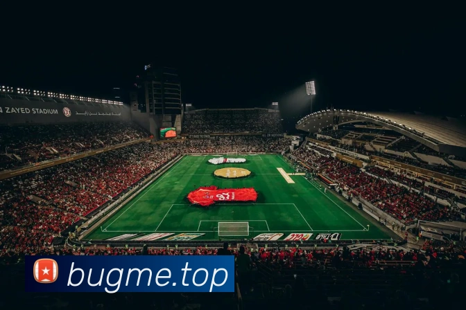 九游j9官网入口手机版APP 封面图